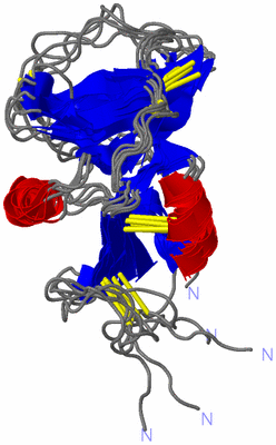 Image NMR Structure - all models