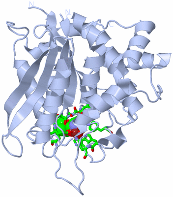 Image Biol. Unit 1 - sites