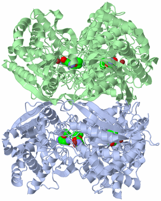 Image Biological Unit 3