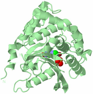 Image Biological Unit 2