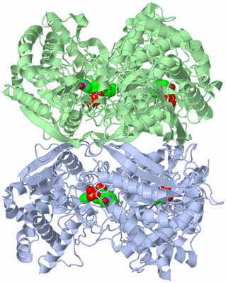 Image Biological Unit 3