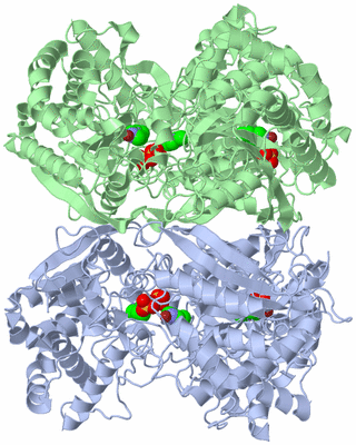 Image Biological Unit 3