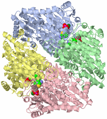 Image Asym./Biol. Unit