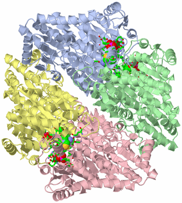 Image Asym./Biol. Unit - sites