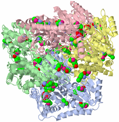 Image Asym./Biol. Unit