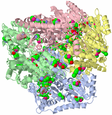 Image Asym./Biol. Unit - sites