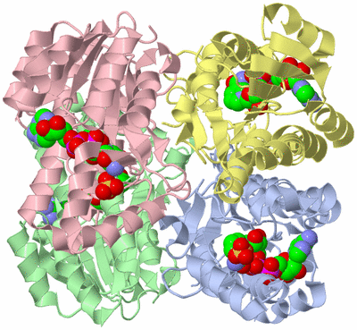 Image Asym./Biol. Unit