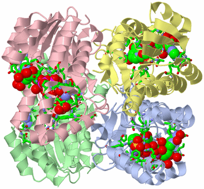 Image Asym./Biol. Unit - sites