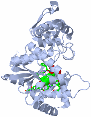 Image Biol. Unit 1 - sites