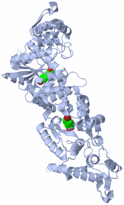 Image Biological Unit 2