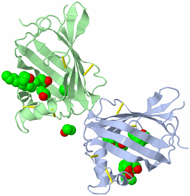 Image Asymmetric Unit