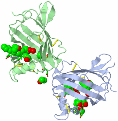 Image Asym. Unit - sites