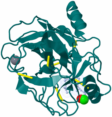 Image Asym./Biol. Unit