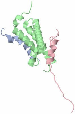 Image NMR Structure - model 1