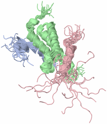 Image NMR Structure - all models