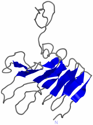 Image NMR Structure - model 1