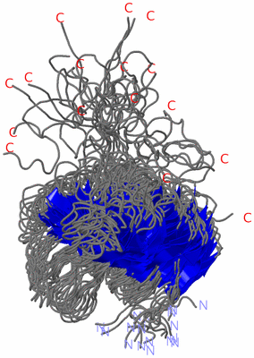 Image NMR Structure - all models