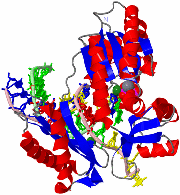 Image Asym./Biol. Unit