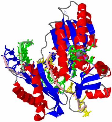 Image Asym./Biol. Unit - sites