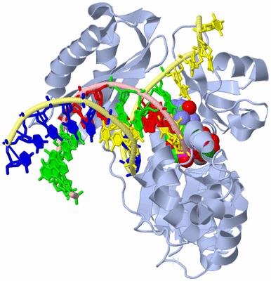 Image Biological Unit 1