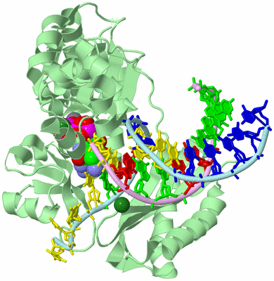 Image Biological Unit 2