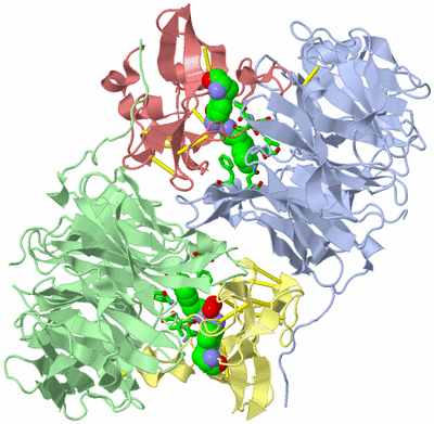 Image Asym./Biol. Unit - sites