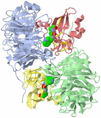 Image Asym./Biol. Unit