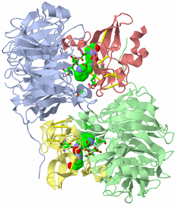 Image Asym./Biol. Unit - sites