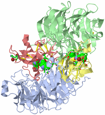 Image Biol. Unit 1 - sites