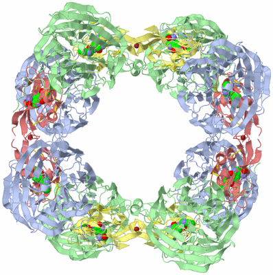 Image Biological Unit 2