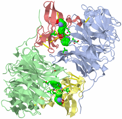 Image Asym./Biol. Unit - sites