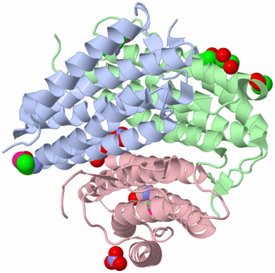 Image Asym./Biol. Unit