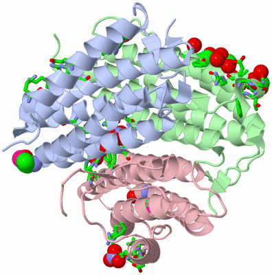 Image Asym./Biol. Unit - sites