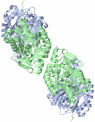 Image Biological Unit 2