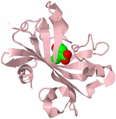 Image Biological Unit 3