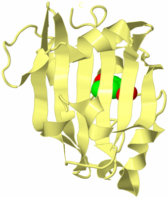 Image Biological Unit 4