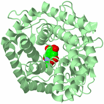 Image Biological Unit 2