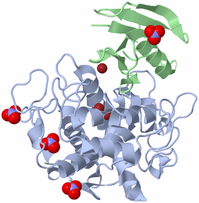 Image Asym./Biol. Unit