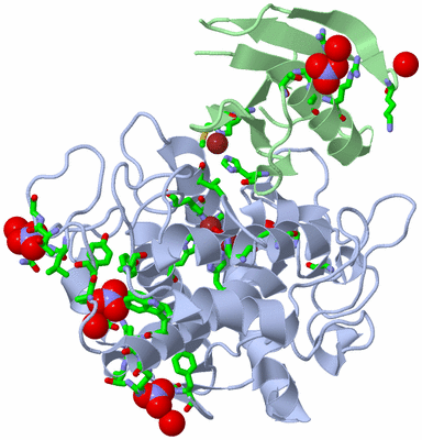 Image Asym./Biol. Unit - sites