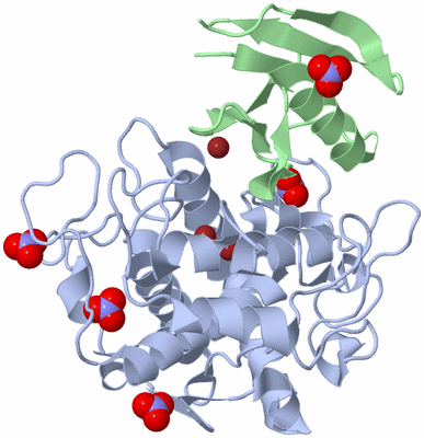 Image Asym./Biol. Unit