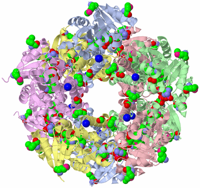 Image Biological Unit 1