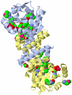 Image Biological Unit 2