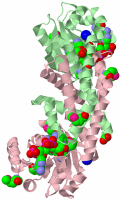 Image Biological Unit 3