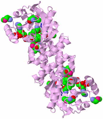 Image Biological Unit 4