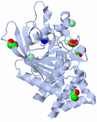 Image Biological Unit 1