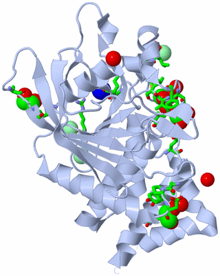 Image Biol. Unit 1 - sites