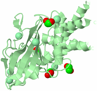 Image Biological Unit 2