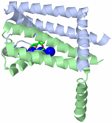 Image Asym. Unit - sites