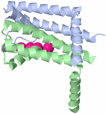 Image Asymmetric Unit