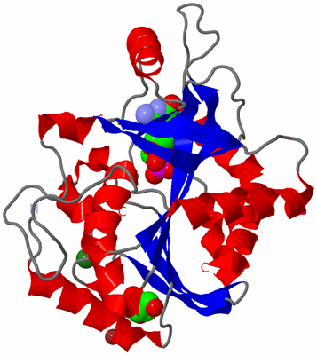 Image Asymmetric Unit